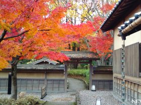 かつて「御泉水屋敷」と呼ばれていた名園　福井県　養浩館庭園
