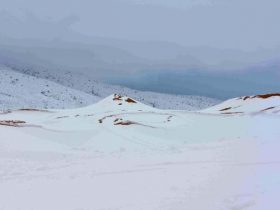 サハラ砂漠で１ｍの積雪