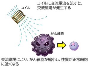 交流地場ががん細胞の増殖を抑えることを発見　横浜市立大学